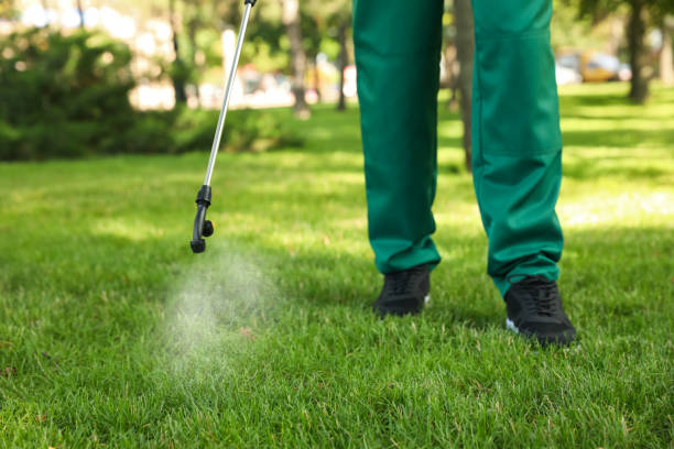 Best Termite Control Services  in Annapolis, MD