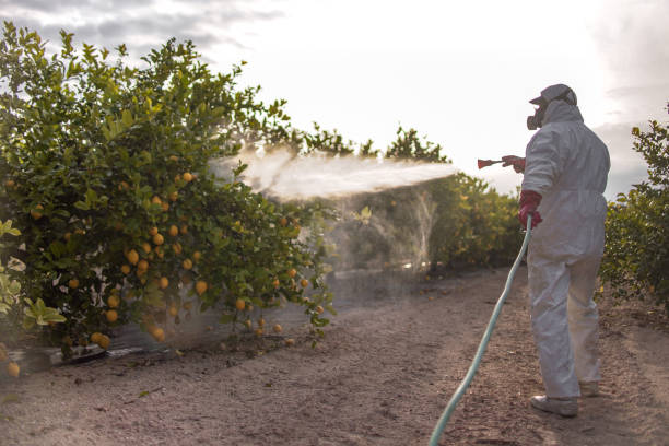 Best Pest Control Cost  in Annapolis, MD