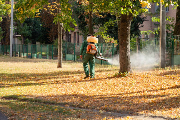 Best Rat Extermination Near Me  in Annapolis, MD
