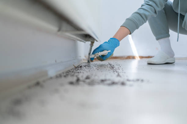 Best Best Pest Control Near Me  in Annapolis, MD