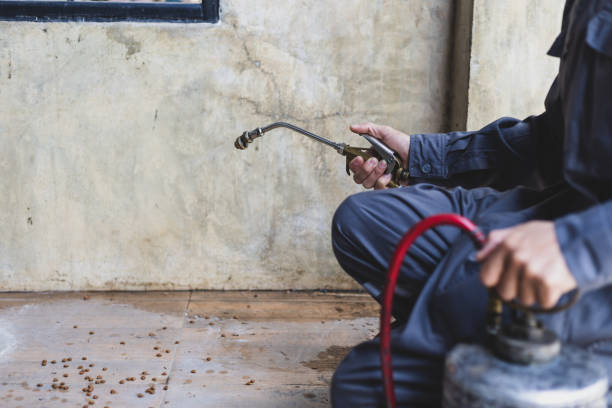 Best Best Pest Control Companies  in Annapolis, MD